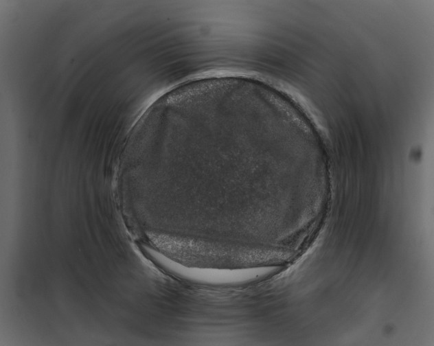 X0000101091185200807171840