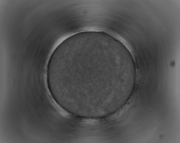 X0000101091187200807171840