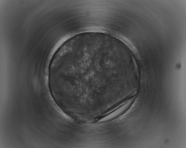 X0000101091188200807171840