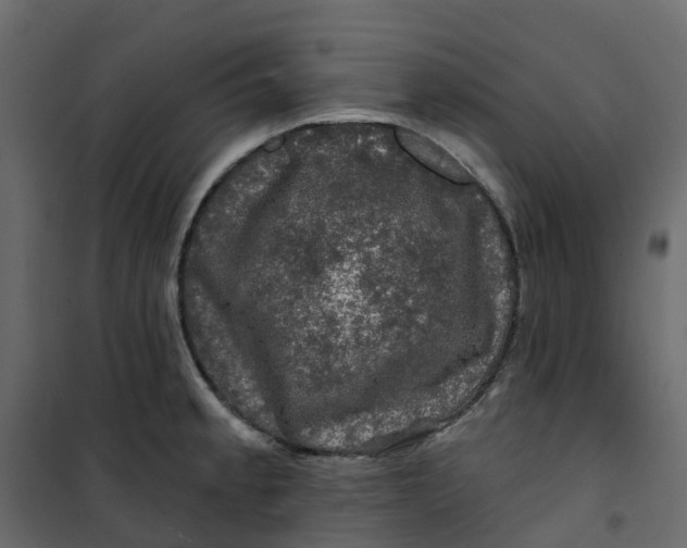 X0000101091189200807171840