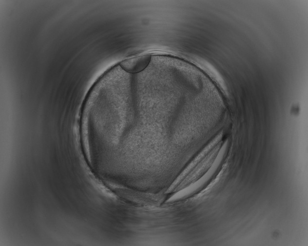 X0000101091190200807171840