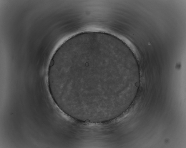 X0000101091191200807171840