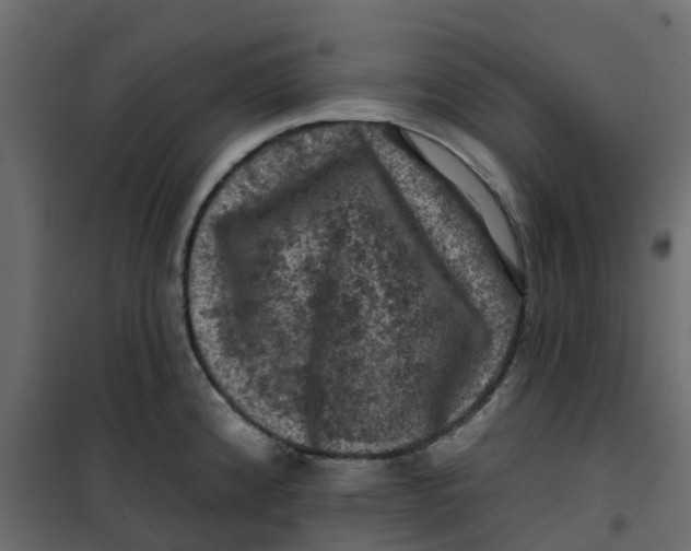 X0000101091192200807171840