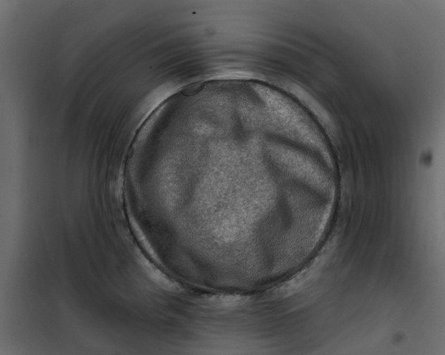 X0000101091193200807171840