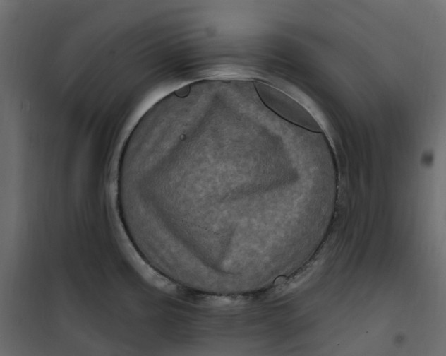 X0000101091195200807171840