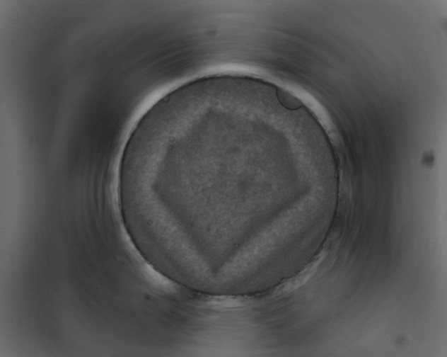 X0000101091199200807171840