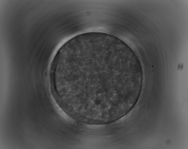 X0000101091200200807171840