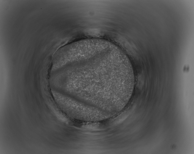 X0000101091201200807171839