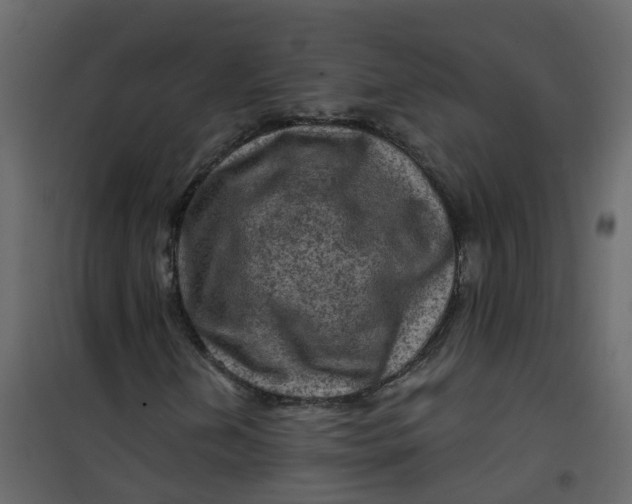 X0000101091202200807171839