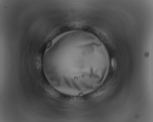 X0000101091203200807171839