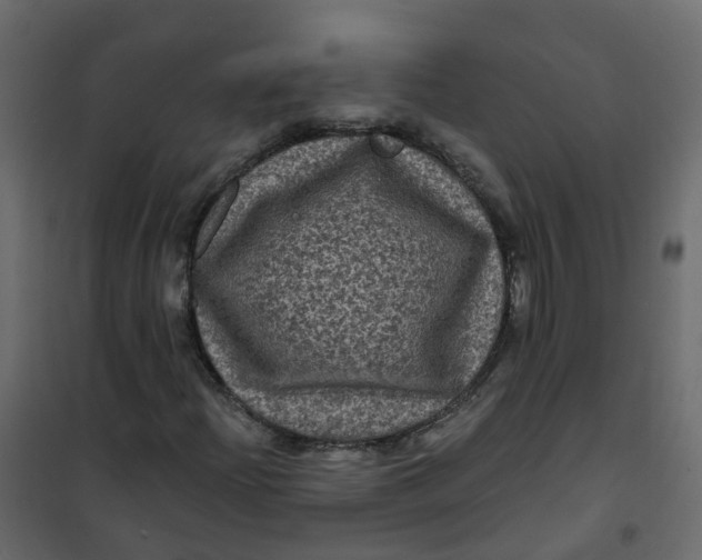 X0000101091204200807171840