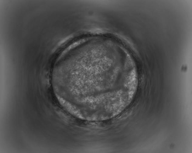 X0000101091205200807171840