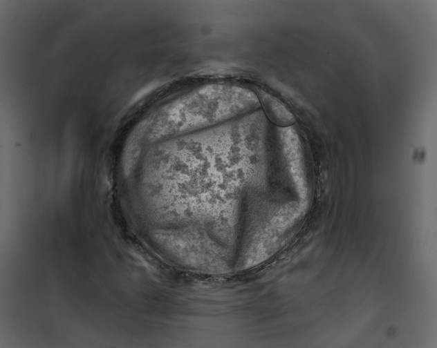 X0000101091206200807171840