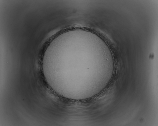 X0000101091207200807171840