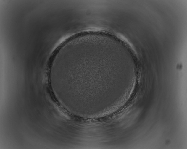 X0000101091208200807171840