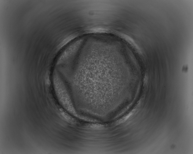 X0000101091209200807171840