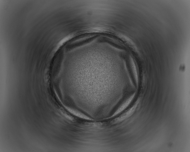 X0000101091210200807171840