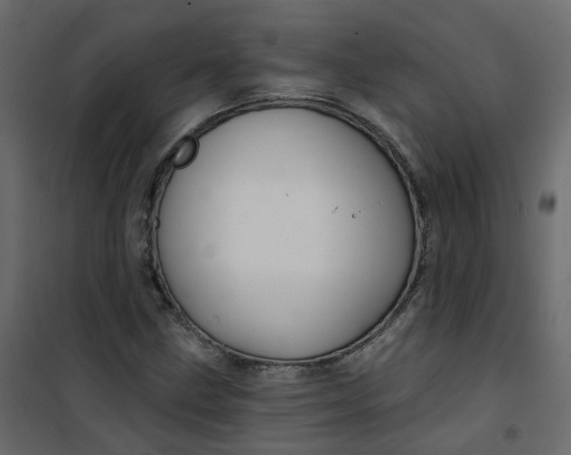 X0000101091211200807171840