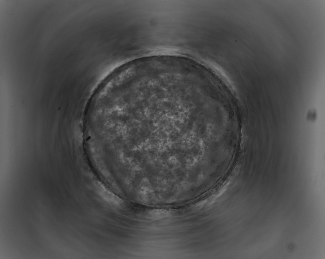 X0000101091212200807171840