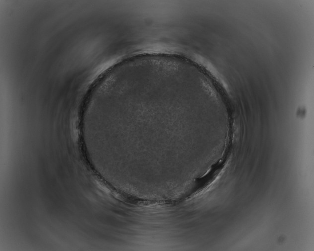 X0000101091213200807171840