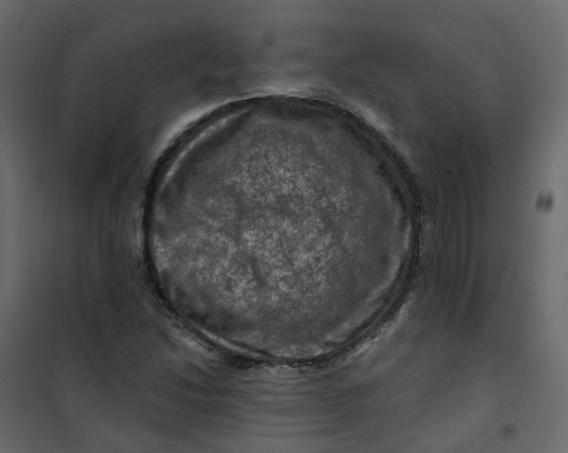 X0000101091214200807171840