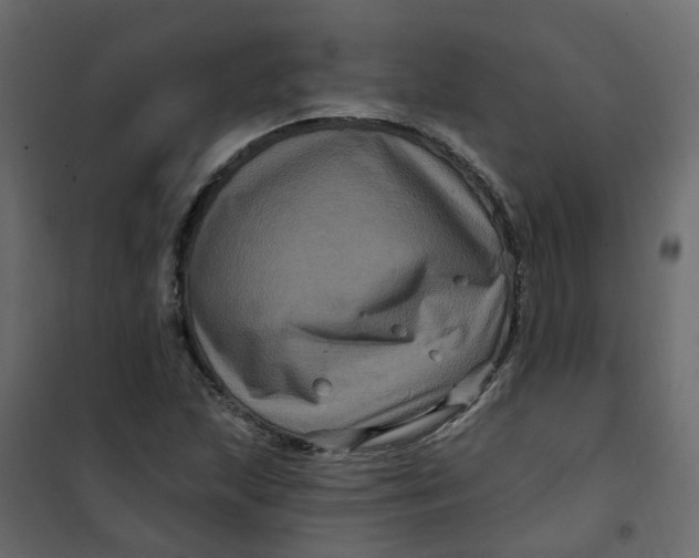 X0000101091215200807171840