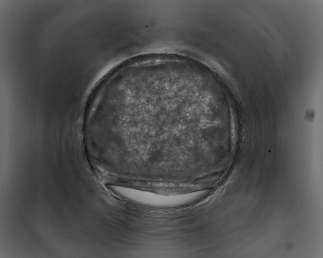 X0000101091216200807171840