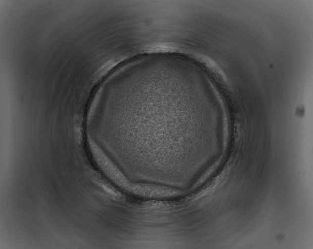 X0000101091217200807171840