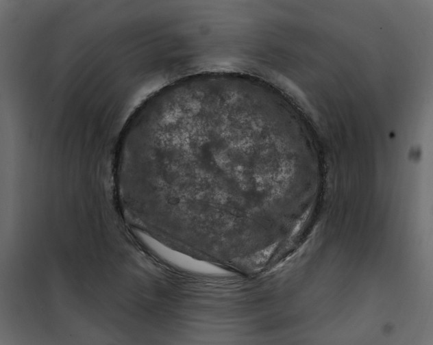 X0000101091218200807171840