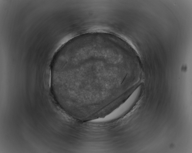 X0000101091219200807171840