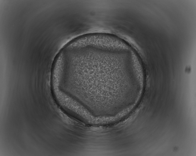 X0000101091220200807171840