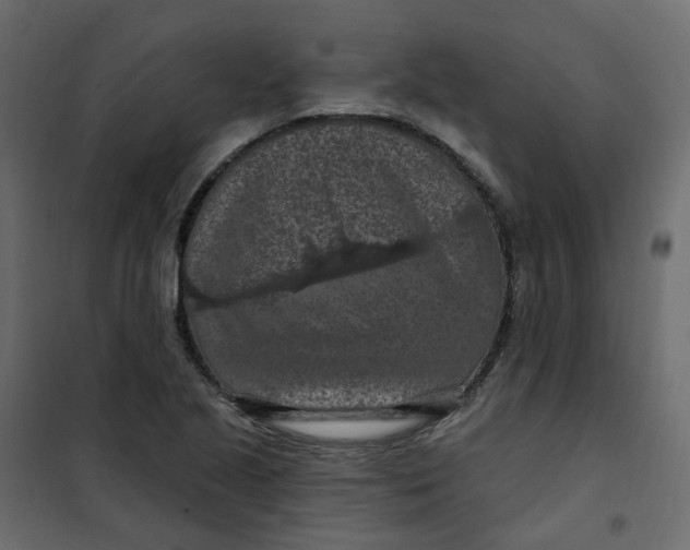 X0000101091221200807171840