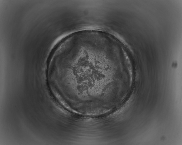 X0000101091222200807171840