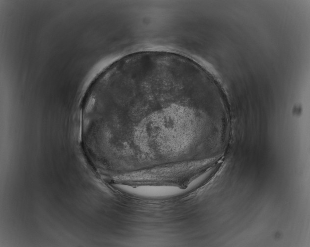 X0000101091223200807171840