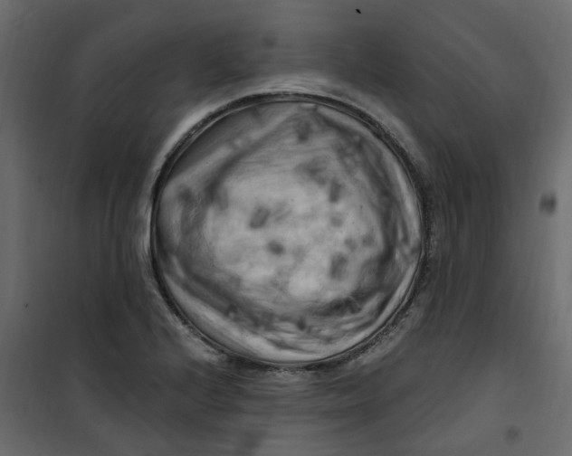 X0000101091224200807171840