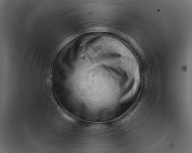 X0000101091225200807171840