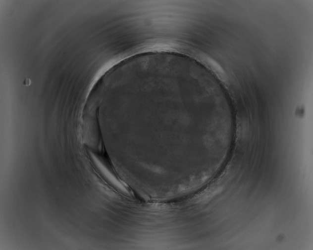 X0000101091226200807171840