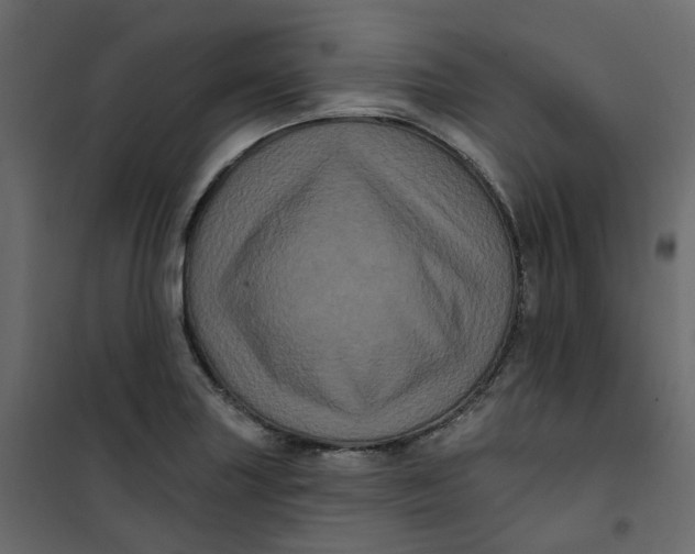 X0000101091227200807171840