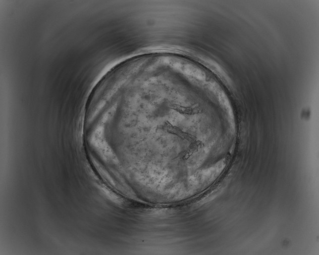 X0000101091228200807171840