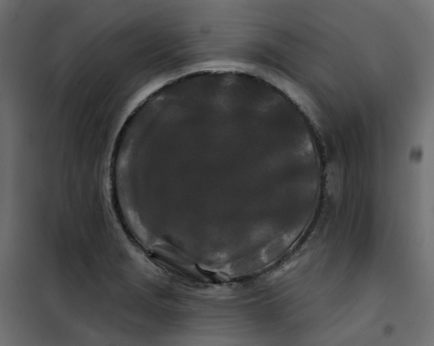 X0000101091229200807171840