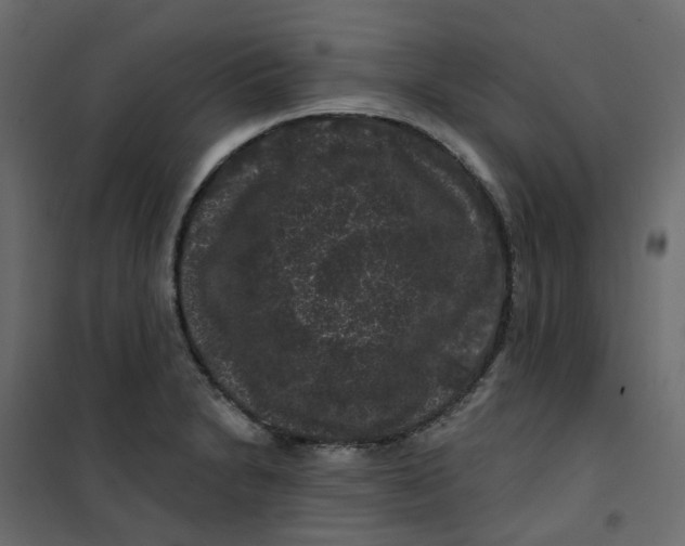 X0000101091230200807171840