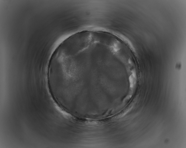 X0000101091231200807171840