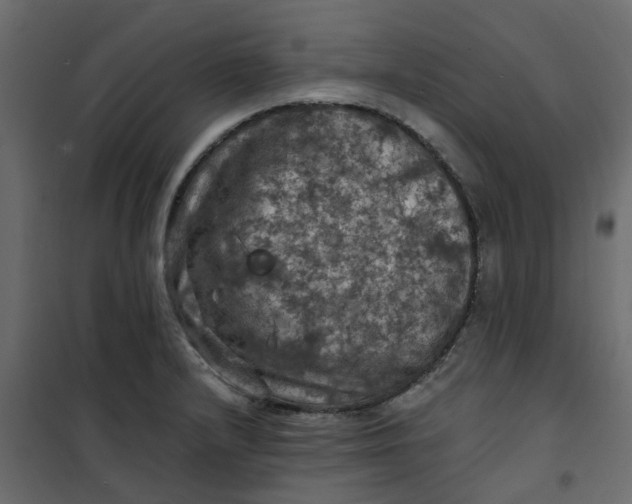 X0000101091232200807171840