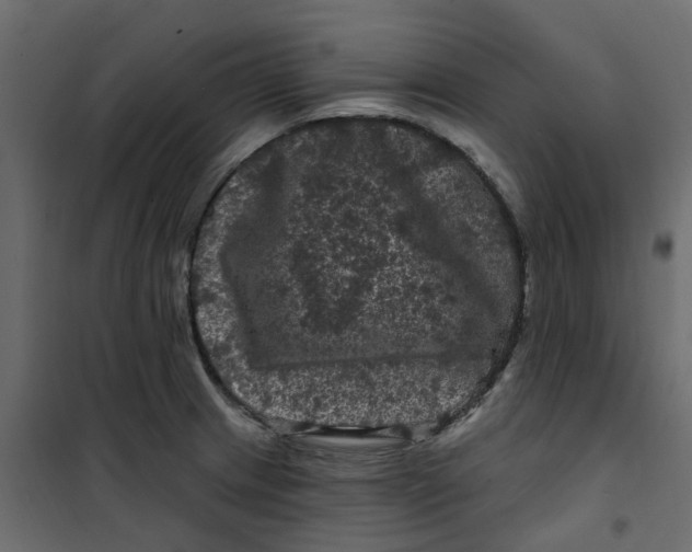 X0000101091233200807171840