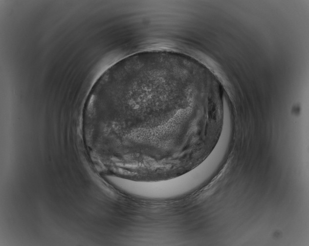 X0000101091234200807171840