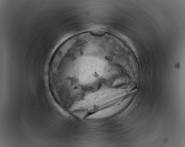 X0000101091235200807171840