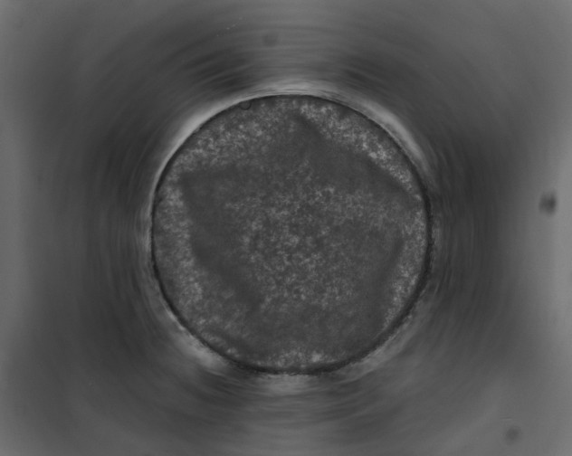 X0000101091236200807171840