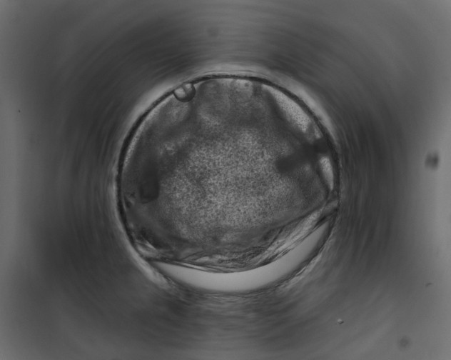 X0000101091237200807171840