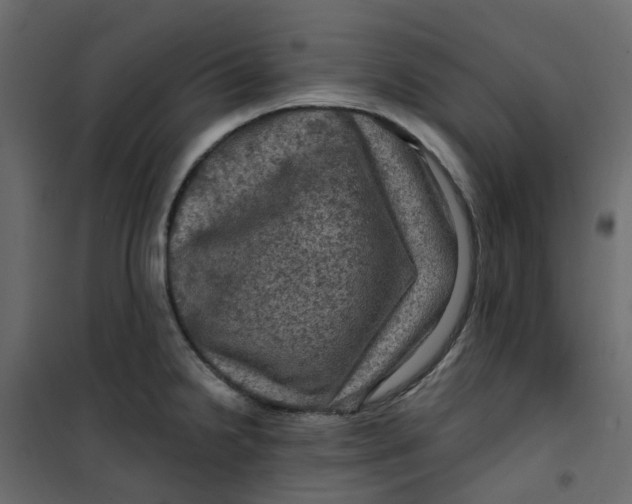 X0000101091238200807171840