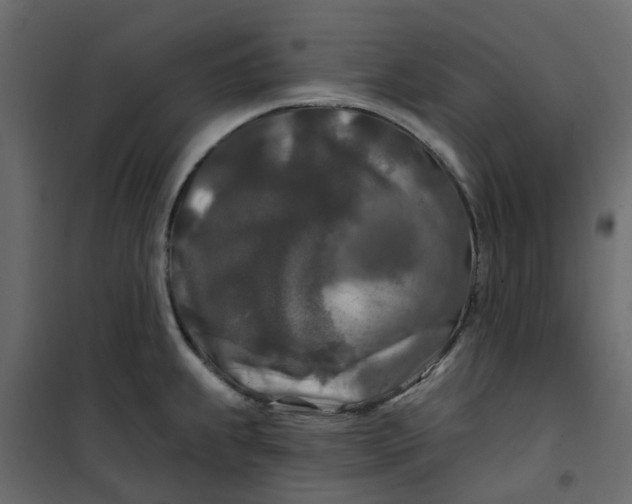 X0000101091239200807171840